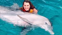 Dolphin Swim Adventure compris Aquaventuras Park Entrance