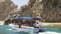 Dolphin Swim with Todos Santos City Tour or Los Cabos Encounter Combo Tour