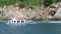 Private Day Trip: 7 Bays of Huatulco from Puerto Escondido