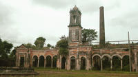 Traditional Yucatan Haciendas and Natural Cenotes Tour