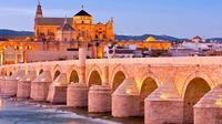 Excursion d'une journée Cordoba de Malaga