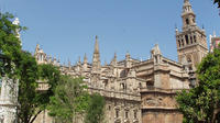 Seville Guided Tour into Alcazar and Cathedral