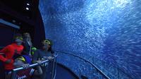 Rencontre National Geographic: Ocean Odyssey Admission Rencontre National Geographic: Ocean Odyssey Admission
