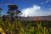 ÉcoAventure d'Une journée aux volcans hawaïens au départ d'Oahu