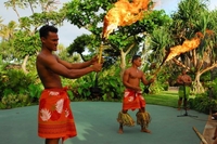 Excursion d'Une journée en petit groupe au Centre culturel polynésien, à la Plantation Dole sur la Côte Nord