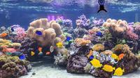 Zonder wachtrij: entreebewijs voor SEA LIFE Speyer Zonder wachtrij: entreebewijs voor SEA LIFE Speyer