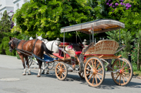 Excursion verser les îles des Princes au départ d'Istanbul: Büyükada