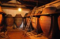 Excursão para degustação de vinho espanhol saindo de Madri Excursão para degustação de vinho espanhol saindo de Madri