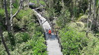 100-minute Private Boat Mangrove Park Tour with Wildlife Spotting in Kuantan