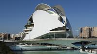 Imagen Entrada al Palau de les Arts Reina Sofia en Valencia