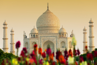 Exclusivité Viator: visite privée du Taj Mahal et du Fort d'Agra, dîner Avec Une vue et photographe en option de