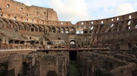 Skip the Line: Colosseum Roman Forum and Palantine Hill Elite Tour