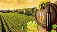 Tuscany Countryside Full-Day Tour from Rome with Wine tastings
