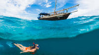 Dagtour snorkelen in Kisite Marine Park en vislunch op Wasini Island Dagtour snorkelen in Kisite Marine Park en vislunch op Wasini Island