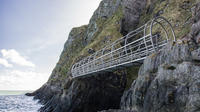 The Gobbins Cliff Walk and Belfast Tour