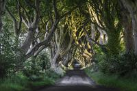 Visite d'une journée complète sur le thème de Game of Thrones à la Chaussée des Géants au départ de Belfast Visite d'une journée complète sur le thème de Game of Thrones à la Chaussée des Géants au départ de Belfast