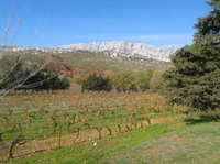 Tour des vignobles des Côtes de Provence au départ d'Aix-en-Provence