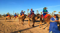 Circuit de 3 jours dans le désert marocain au départ de Marrakech Circuit de 3 jours dans le désert marocain au départ de Marrakech