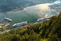 Whale-Watching Cruise with Seafood Lunch or Dinner atop Mt Roberts