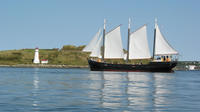Croisière à bord du voilier Tall Ship Silva Croisière à bord du voilier Tall Ship Silva