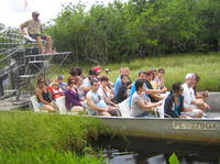 Excursion en hydroglisseur Dans les Everglades de Floride et Rencontre avec les alligators au départ de Fort Lauderdale