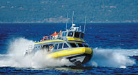 Croisière d'observation des baleines au départ de Vancouver verser Victoria