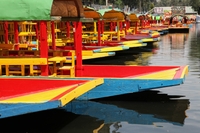 Ciudad de México Super Saver: Coyoacán y Museo Frida Kahlo además de Xochimilco y la Universidad Nacional Ciudad de México Super Saver: Coyoacán y Museo Frida Kahlo además de Xochimilco y la Universidad Nacional