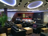 Guadalajara Airport VIP Layover Lounge Access