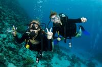 Huatulco Beginner or Certified Scuba Diving