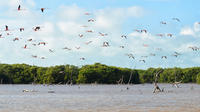 Merida Combo Tour: Chichen Itza Early-Morning Access Plus Celestun Biosphere Reserve