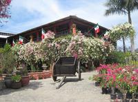 Puerto Vallarta Botanical Gardens and Lunch on Playa Las Gemelas