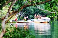 Recorrido ecológico sobre tortugas marinas y cocodrilos desde Huatulco con paseo en barco por los manglares Recorrido ecológico sobre tortugas marinas y cocodrilos desde Huatulco con paseo en barco por los manglares