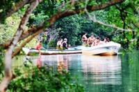 Turtle and Crocodile Eco Tour from Huatulco with Mangrove Boat Ride