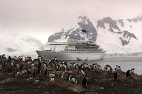 11-Day Antarctica Cruise from Punta Arenas: Antarctic Peninsula, South Shetland and the Antarctic Circle