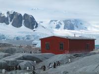 11-Day Antarctica Cruise from Ushuaia: Drake Passage, South Shetland Islands and the Antarctic Peninsula