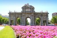 Private Tour: Madrid City Tour