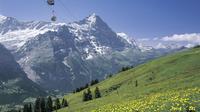 Toegang tot de First in Grindelwald Toegang tot de First in Grindelwald