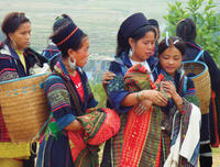 4-Night Sapa and Hill Tribes Trek with Round-Trip Transport from Hanoi