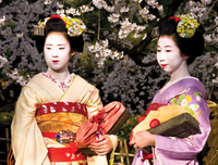 Circuit classique de 14 jours au japon: Nikko, Hakone, Takayama, Hiroshima et Kyoto au départ de Tokyo