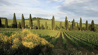 3-Day Tuscany and Cinque Terre Experience with Limoncino Tasting