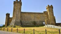 Brunello di Montalcino Wine Tour from Siena