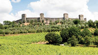 Chianti and Castle Tour