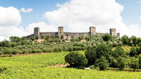 Chianti and Siena Half Day Tour with Dinner