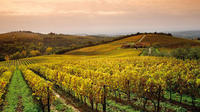 Chianti at Sunset With Dinner Experience from Siena