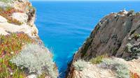 Day Trip to the Islands of Giglio and Giannutri from San Gimignano