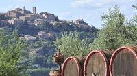 Enogastronomic Grand Tour of Montalcino Pienza and Montepulciano from San Gimignano
