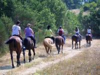 Tuscan Hills Horseback Riding Tour from Siena