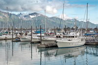 Excursion en bord de mer à Anchorage: transfert pré-croisière et visite d'Anchorage à Seward