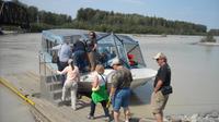 Talkeetna Wilderness Jet Boat Tour