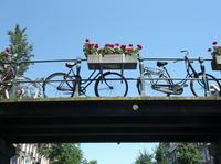 Amsterdam Bike Tour: Off the Beaten Path